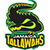 Jamaica Tallawahs