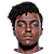 ymer.png